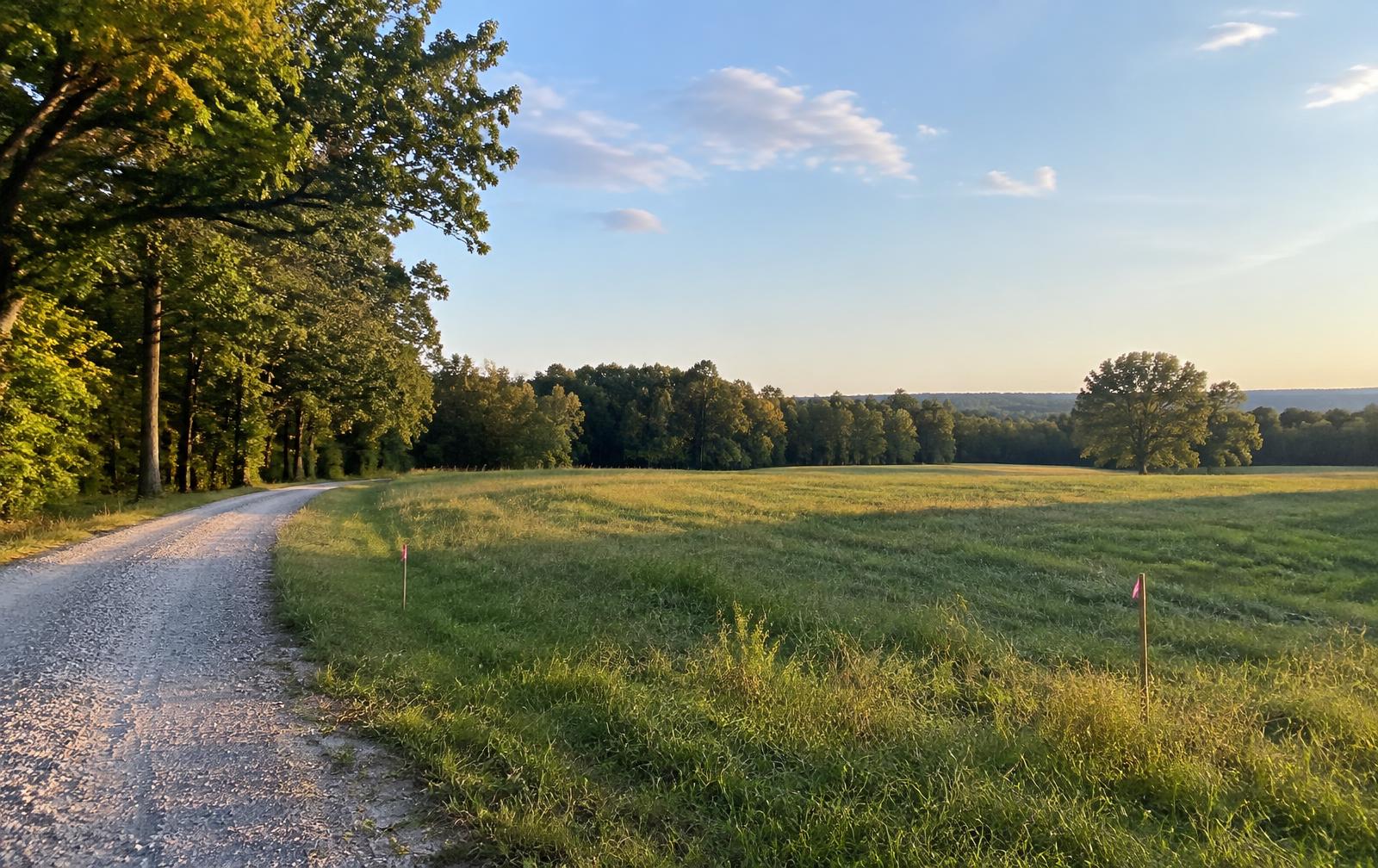 AI-generated American acreage illustration — not a listed parcel
